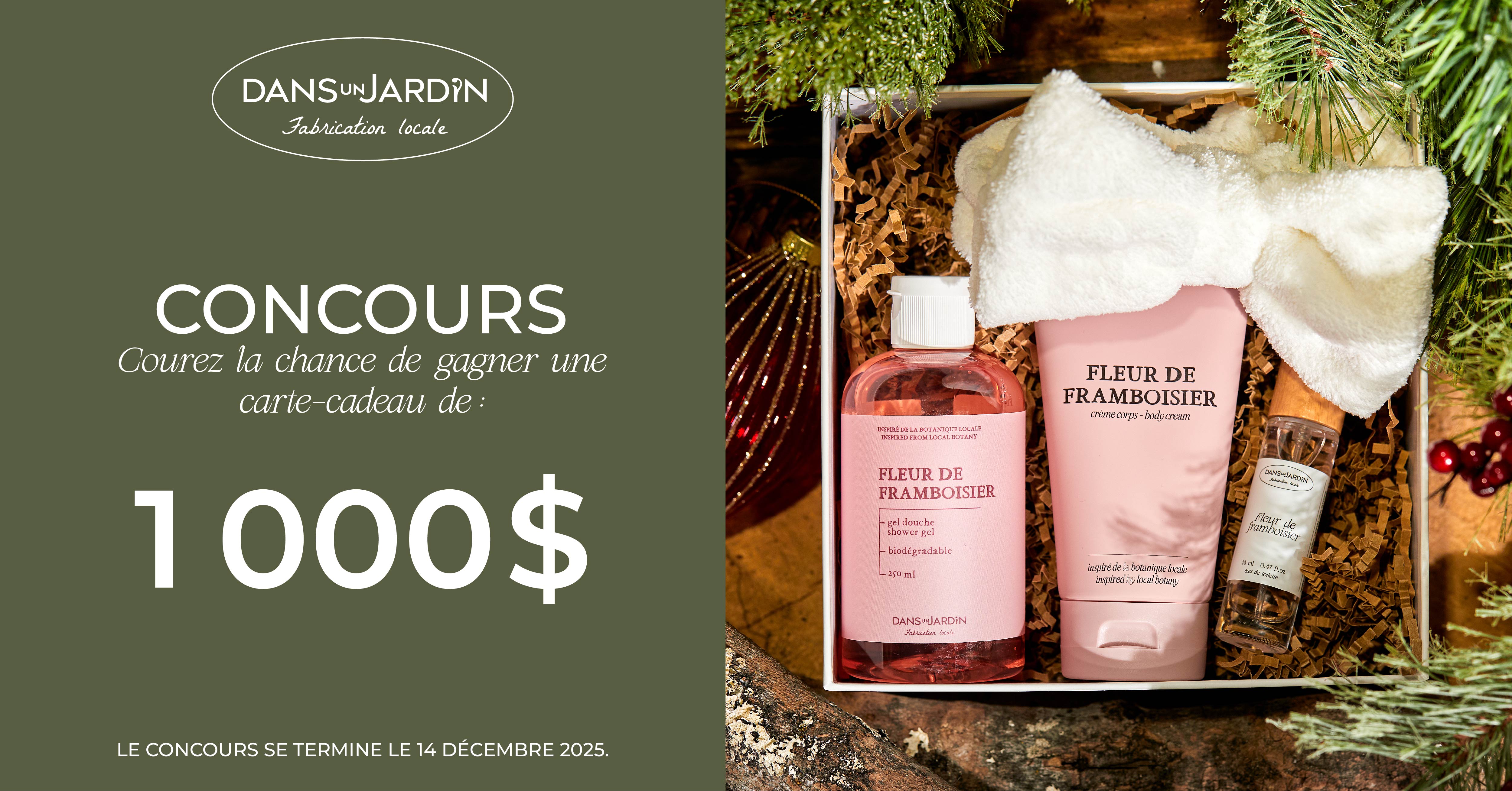 Présentation Concours DUJ novembre 25